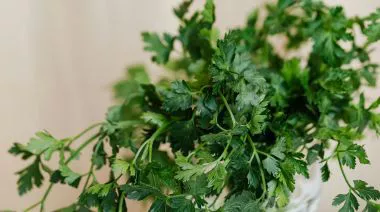 garnishing-instructions-image